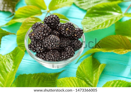 blackberries in a plate, with green leaves on a blue wooden background, selective focusing, vitamins for the body and ingredients for fruit cocktails and yogurts
