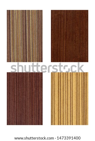 Samples of veneer wood isolated on white background. Material for interior architecture and construction or furniture finishing design concept. 
