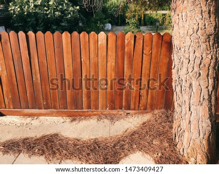 View of plants in the garden and wood fence, Cyprus.