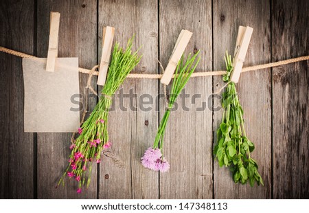 medicine herbs and paper attach to rope with clothes pins on wooden background