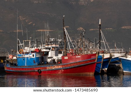 Red and blue deep sea fishing boats lie moored in the evening sunlight at Hout Bay harbour Cape Town while reflections dance on the glass like water with Chapmans Peak drive in the background