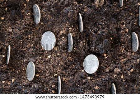 cash American coins on the black fertile soil of an agricultural field, close-up, silver coin in a quarter of the American dollar 25 cents
