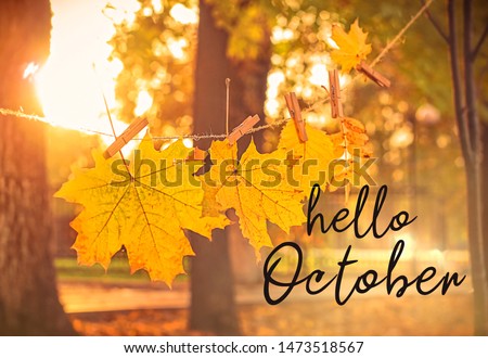 Hello october. autumn natural background. garland of yellow maple leaves in park. beautiful autumnal sunny landscape. symbol of golden fall season.  Royalty-Free Stock Photo #1473518567