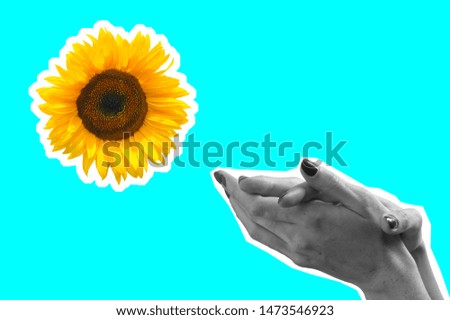 modern art collage. women's hands and sunflower.