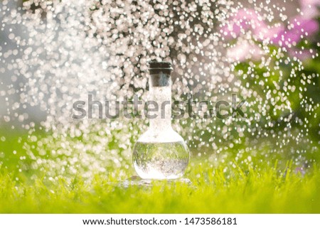 Clear water in a flask on the lawn in flowers. Water sample for environmental experiment. Summer season. 