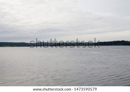 Forest lake trees landscape, forest lake trees view , summer in Karelia