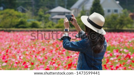 Woman take photo on cellphone inside poppy flower garden