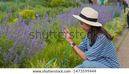 Woman take photo on Lavender flower garden