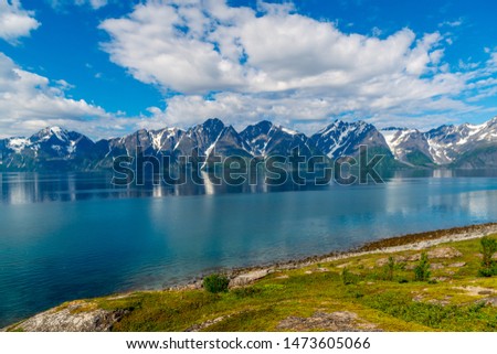 Rocks of the Sognefjord, the third longest fjord in the world and largest in Norway.