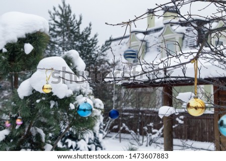 Winter cottage garden in snow with Christmas decoration.Hanging Сolorful Xmas bubbles.