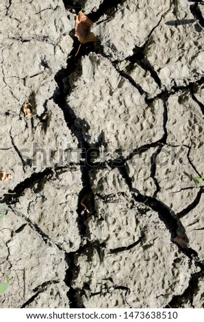 Cracked earth.Drought. cracked earth as a concept of climate change in the temperate climate zone. Shapes created by the dry cracked earth during drought. The background