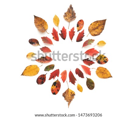 Frame made of colorful autumn leaves on white background. Flat lay. Copy space.