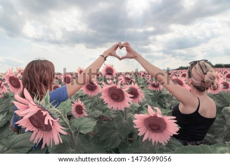 Two hippie happy women are hands making heart symbol in a field of sunflowers.
