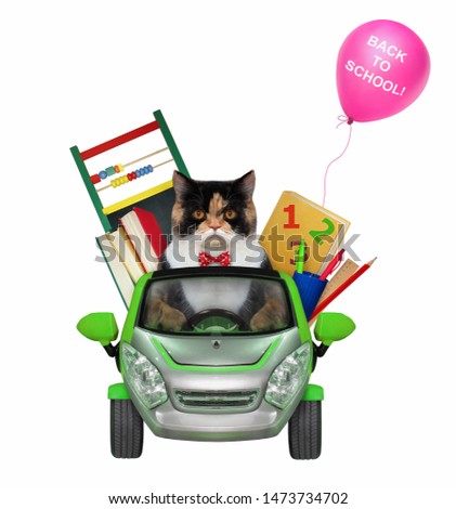 The cat goes to school by car. There are a lot of school supplies in this cabriolet. White background. Isolated.