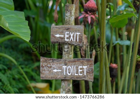 Text exit and toilet on a wooden board in a rainforest jungle of tropical Bali island, Indonesia. Exit and toilet wooden sign inscription in the asian tropics. Close up