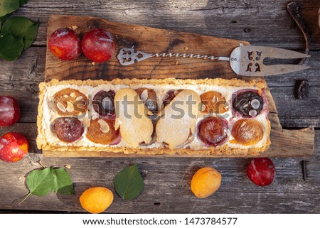 homemade tart with cottage cheese, plums and apricots