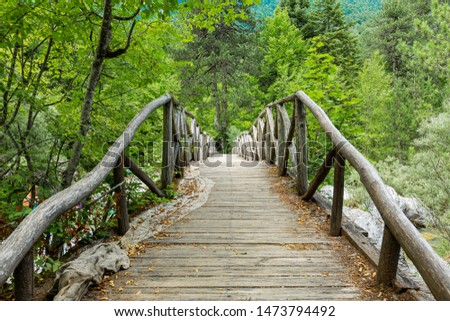 Wooden bridge over a stream on Mount Olympus. The bridge is located in the forest on the way to the Holy Cave.