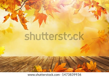a wooden table with orange fall  leaves, autumn natural background