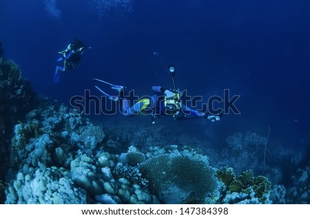 SUDAN, Red Sea, U.W. photo, underwater photographer