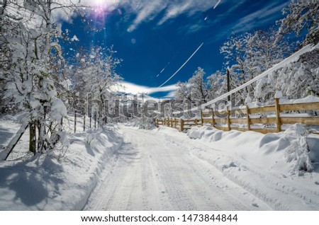 Snow road in white winter. 
Special photo for use in recreation areas