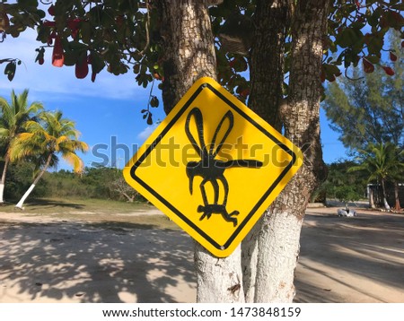Yellow warning road sign in jungle showing a giant mosquito carrying a man