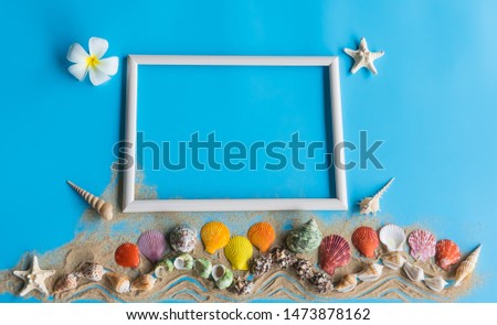 Beach  accessories  including  blank  wooden  picture  frame  and  colorful  seashells  on  blue  background  for  summer  concept