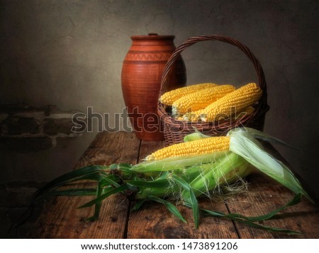 Still life with corn cobs