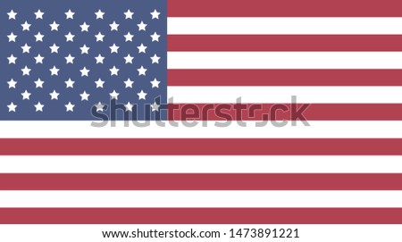 Bandeira dos Estados Unidos (United States flag in portuguese) illustration vector