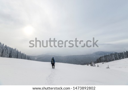 Back view of tourist hiker in warm clothing with backpack walking upward mountains covered with snow on spruce forest and cloudy sky copy space background.