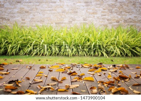 Empty wooden floor or decking with abstract blurred of garden background. For Display or product photo montage
