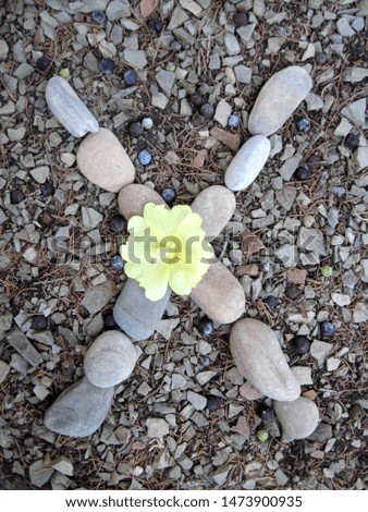 The letters of the English alphabet are lined with sea pebbles, with yellow flowers on the background of the garden path.
