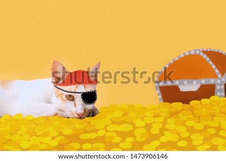 The Orange cat lay on a lot of gold coins in concept danger pirates.