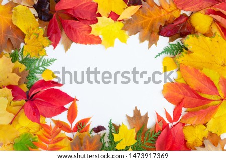 Natural fall leaves frame, top view over white background with copy space