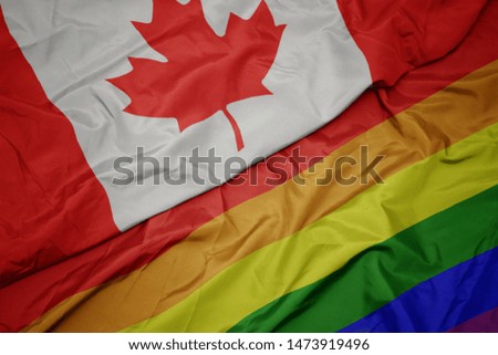 waving colorful gay rainbow flag and national flag of canada. macro