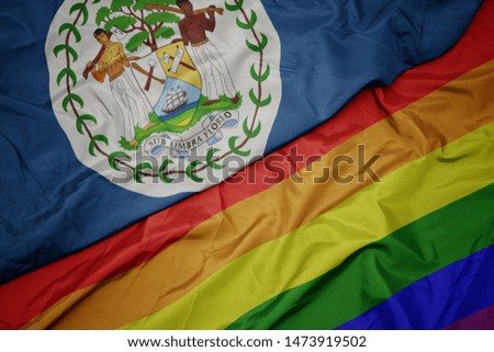 waving colorful gay rainbow flag and national flag of belize. macro