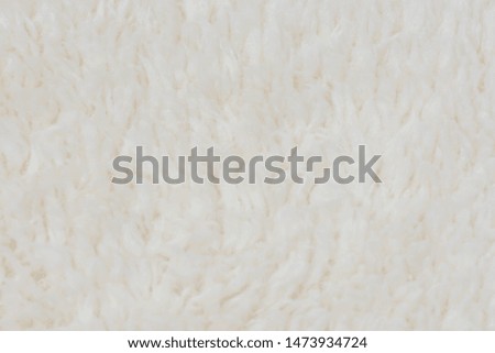Background picture of a soft fur white carpet. wool sheep fleece closeup texture background. Fake color beige fur fabric. top view. 