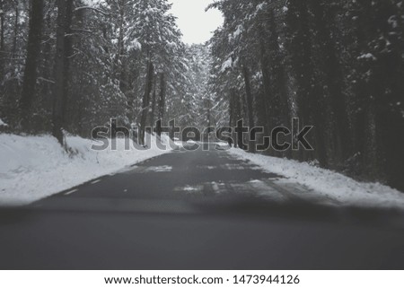 snowy mountain road, photograph of the road from the car