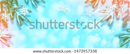 The branches of the snow covered Christmas tree. nature. greeting card