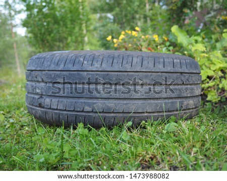 old car tire in the grass