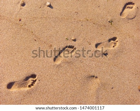 footprints in the sand by the sea