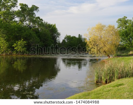 Scenic nature view of a lake with new leaves in the trees at springtime