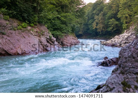 Mountain blue river flowing between res stones through the green forest