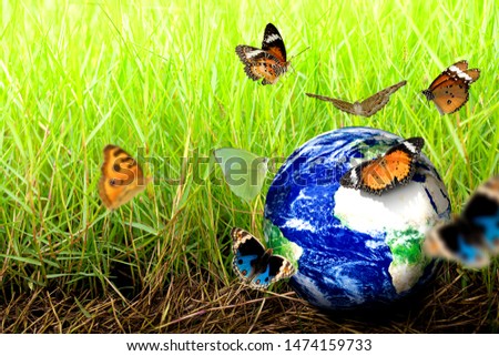 World or globe on  field grass with butterfly on earth day.Environment conservation and energy saving concept.Elements of this image are furnished by NASA.
