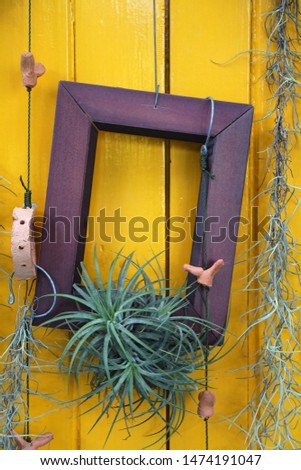 Interior design of Wooden picture frame hanging on yellow wall wood plank and Ivy root - reused or recycle decorate