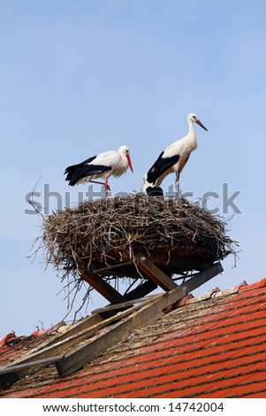 storks-nest Royalty-Free Stock Photo #14742004