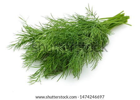 Bunch of fresh green dill isolated on white background Royalty-Free Stock Photo #1474246697