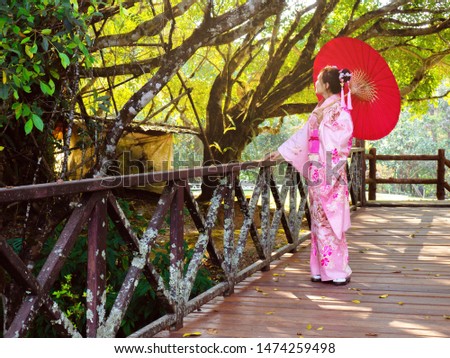 Woman is wearing Pink Japanese Traditional dress style (Kimono). Girl is holding red umbrella. Lady is walking on the wooden bridge in the national park. 