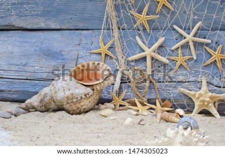 Souvenir from holidays on the beach: Seashell background border on rustic blue wood. Top view on different seashells and starships with white sand and fishnet.
 