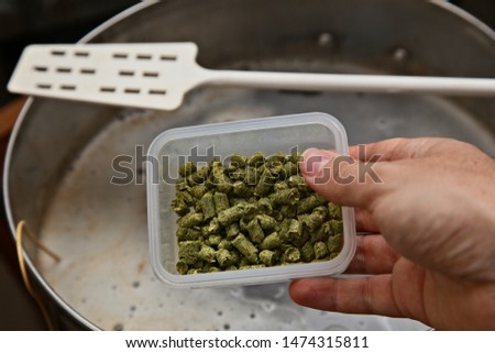 Brewing craft beer in a kitchen. Home brewing concept image. 