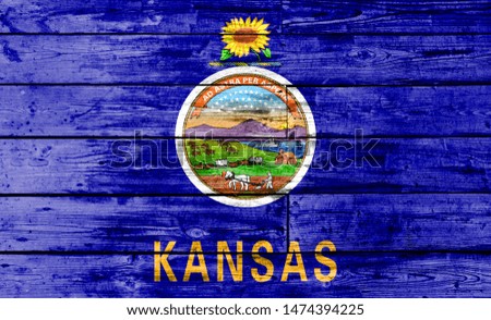 State of Kansas flag painted on wooden background, closeup.
